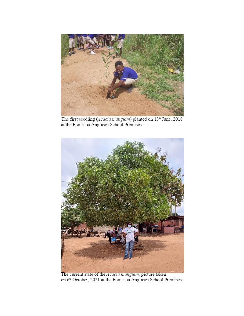 Forest Restoration Field Work