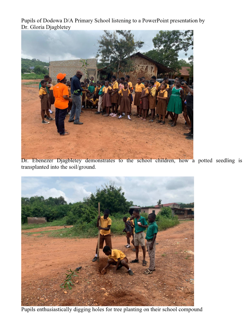 Afforestation Program